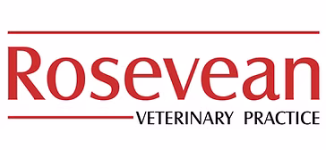 Rosevean Veterinary Practice logo. The word Rosevean is written in large red letters, with Veterinary Practice in smaller black letters underneath. Red horizontal lines are above and below the main text.