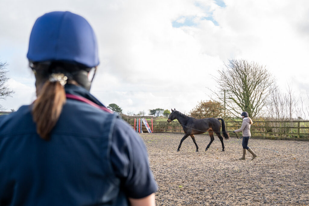Rosevean Veterinary Practice - Equine (Web) 027 A person in a blue helmet watches as another person leads a dark brown horse on a lunge rein in an outdoor riding arena on a cloudy day.