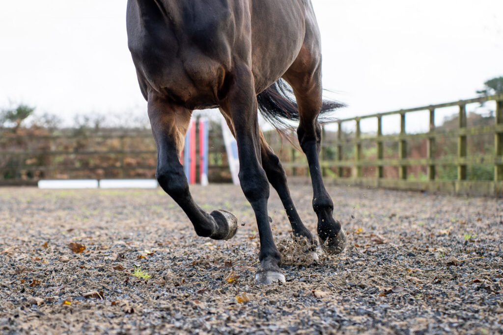 Close-up of a brown horse’s legs as it trots on a gravel surface in an outdoor fenced paddock, with its front right hoof lifted and dust rising from the ground. The horse’s head and upper body are out of shot.