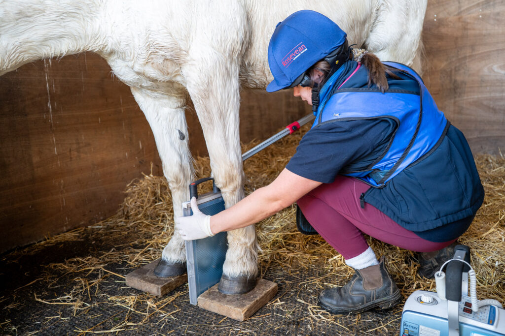 Rosevean Veterinary Practice - Equine (Web) 075 A vet in protective gear takes an X-ray of a horse’s leg inside a stable, using portable equipment and positioning the horse’s leg on wooden blocks.