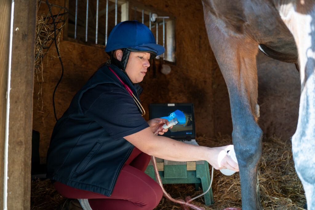 A vet wearing a blue helmet uses an ultrasound device on a horse's leg inside a stable, with hay on the ground and equipment nearby.
