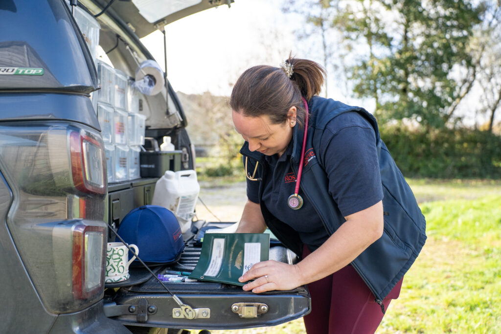 Rosevean Veterinary Practice - Equine (Web) 096 A woman with a stethoscope around her neck works at the open tailgate of a vehicle, reviewing paperwork outdoors on a sunny day. Supplies and a cup are visible nearby, and trees are in the background.