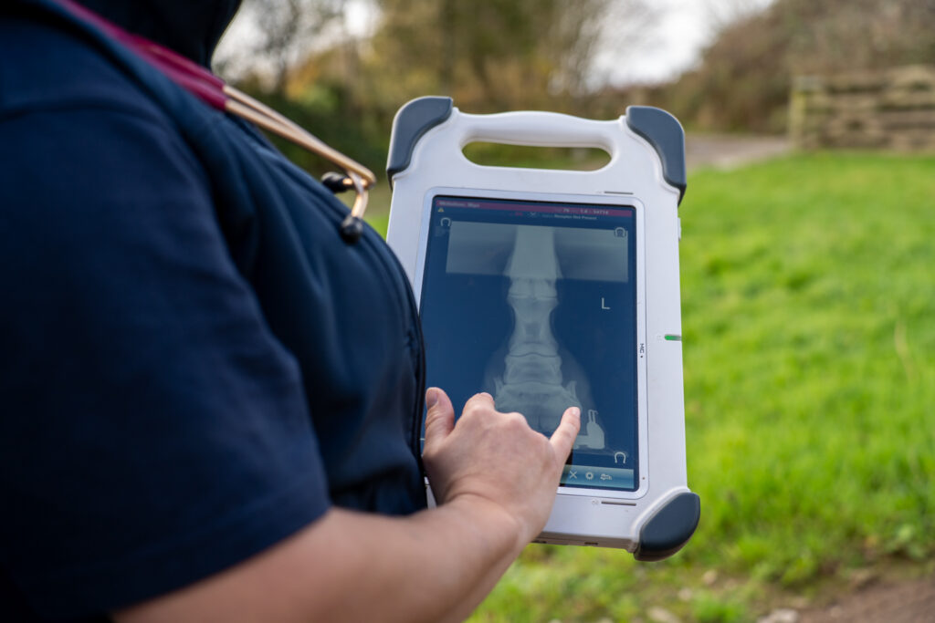 Rosevean Veterinary Practice - Equine (Web) 111 A person holds a tablet displaying an X-ray image of a spine whilst standing outdoors on a grassy path. The person is touching the screen, and part of their upper body is visible.