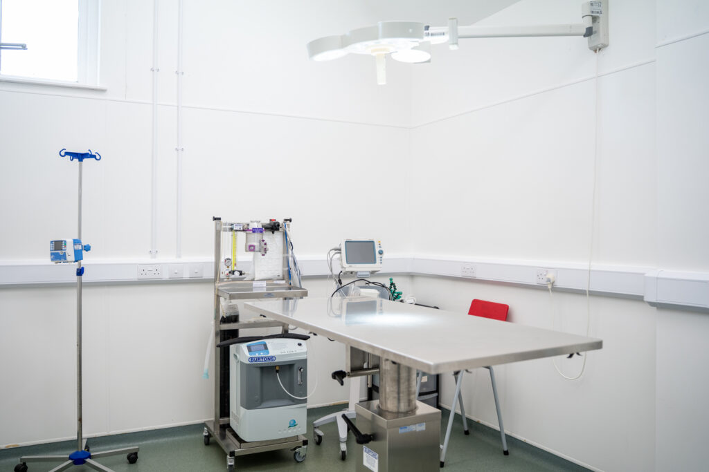 A bright, clean veterinary or medical examination room with a stainless steel table, medical equipment, monitor, IV stand, and a red chair against white walls. Ceiling lights illuminate the space.