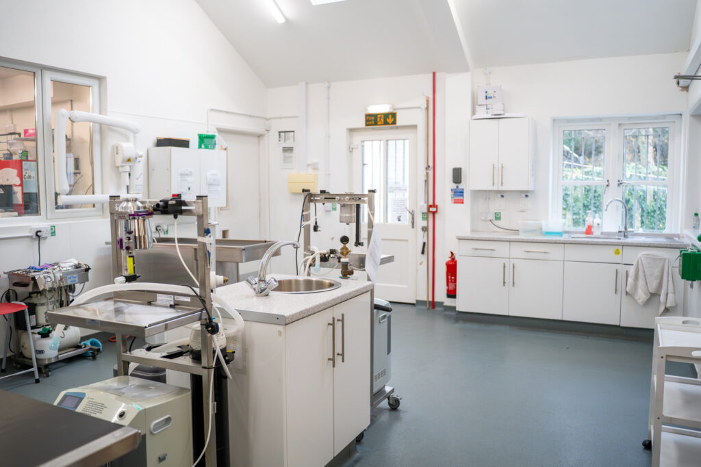A clean, modern veterinary surgery with white cupboards, medical equipment, stainless steel tables, and a sink. Brightly lit with large windows and grey flooring. A fire extinguisher is mounted on the wall near the exit door.