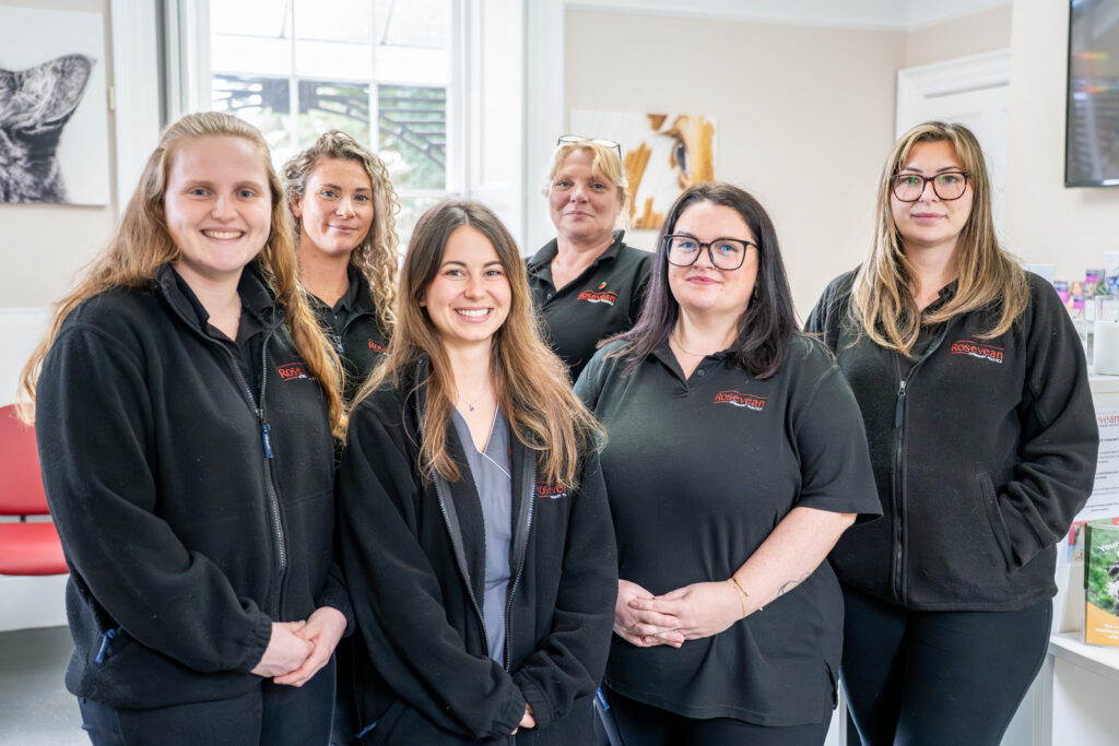 Rosevean Veterinary Practice - Small Animal (Web) 066 Six women wearing black uniforms stand together and smile in a brightly lit office or clinic environment, with animal-themed decor visible in the background.