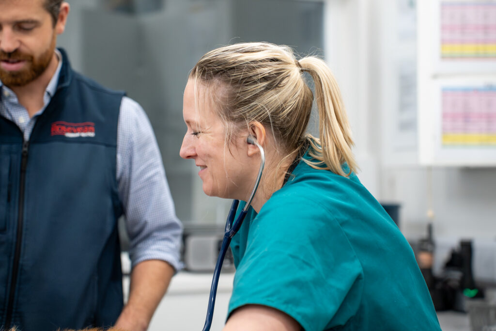 Rosevean Veterinary Practice - Small Animal (Web) 083 A smiling healthcare worker in teal scrubs uses a stethoscope whilst interacting with a patient, with another person standing nearby in a clinic setting.