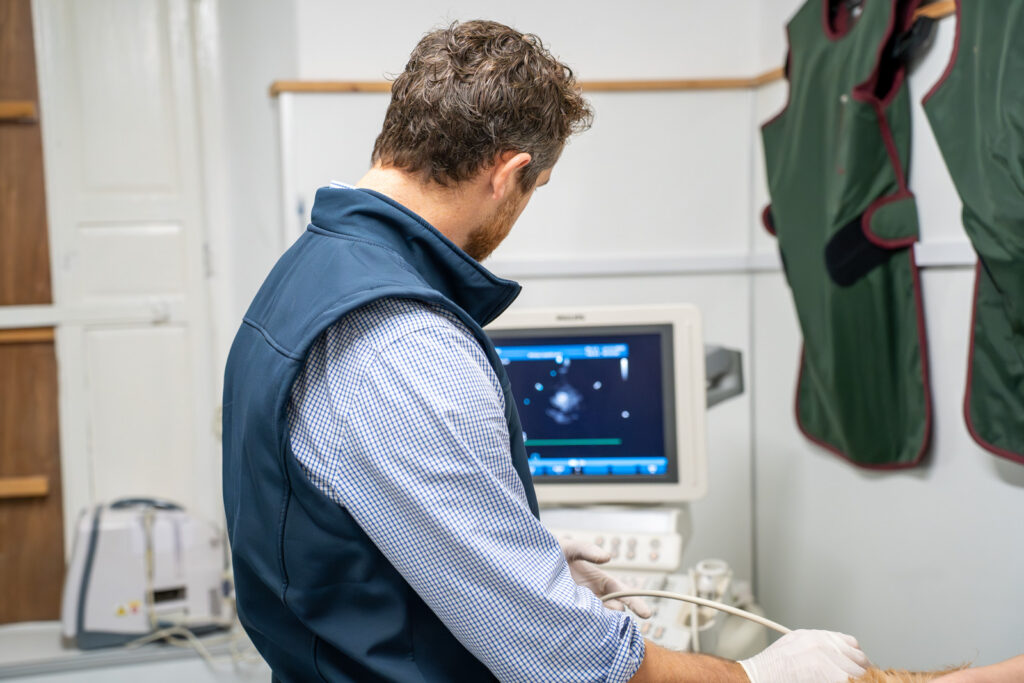 Rosevean Veterinary Practice - Small Animal (Web) 108 A person in a blue waistcoat operates an ultrasound machine, looking at an image on the monitor. Protective waistcoats hang on the wall nearby, and part of an animal is visible in the lower right corner.