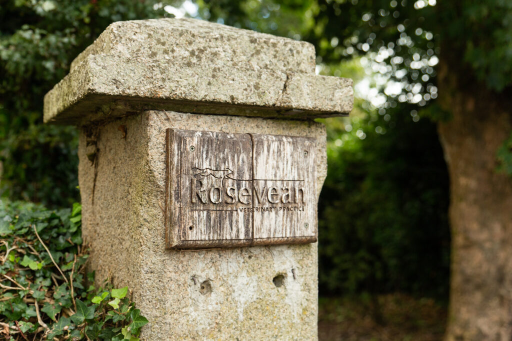 A weathered stone pillar with a wooden sign reading Rosevean Veterinary Practice, surrounded by greenery and trees in the background.