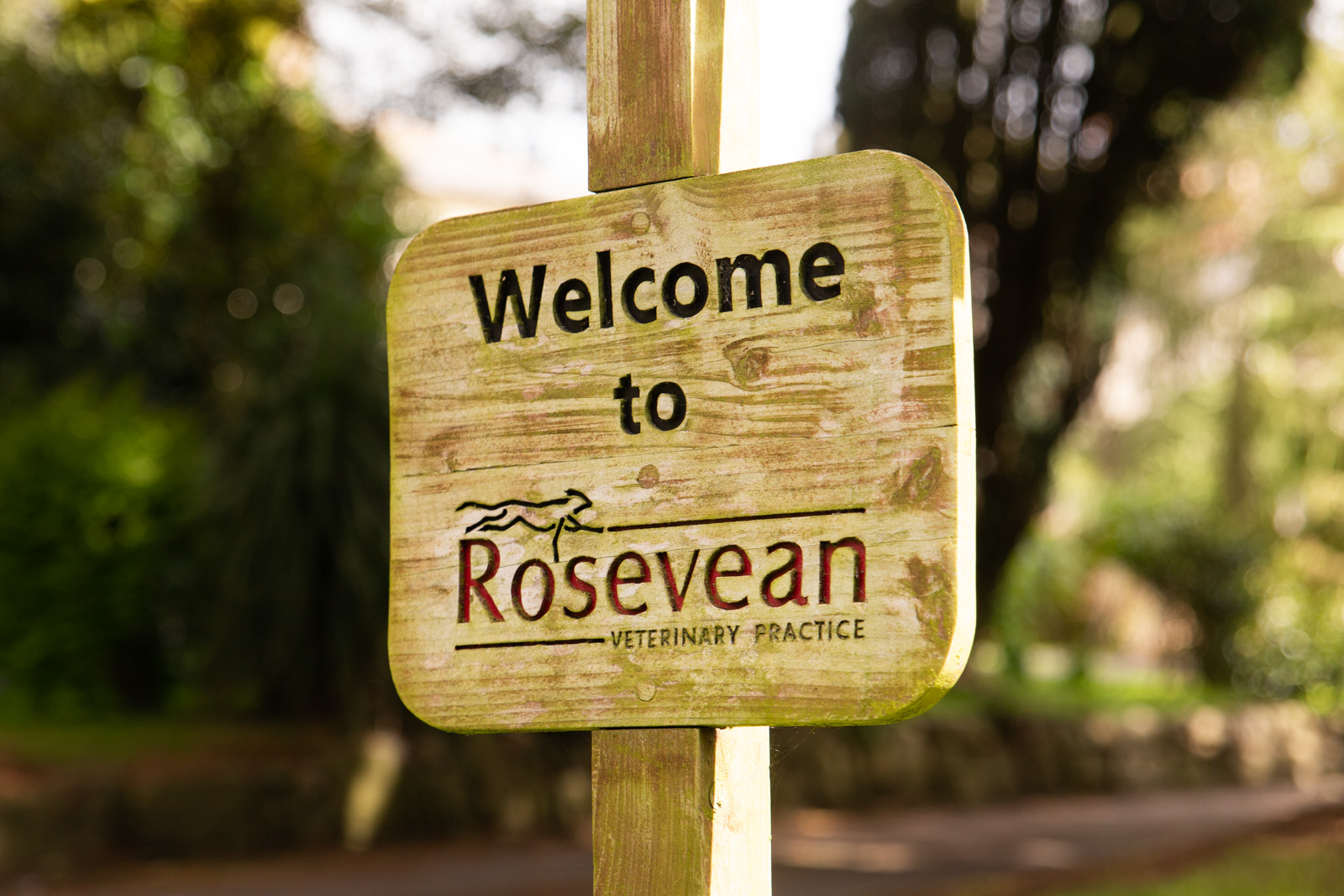 Wooden sign reads Welcome to Rosevean Veterinary Practice with a logo of two animals, set outdoors with trees and greenery in the background.