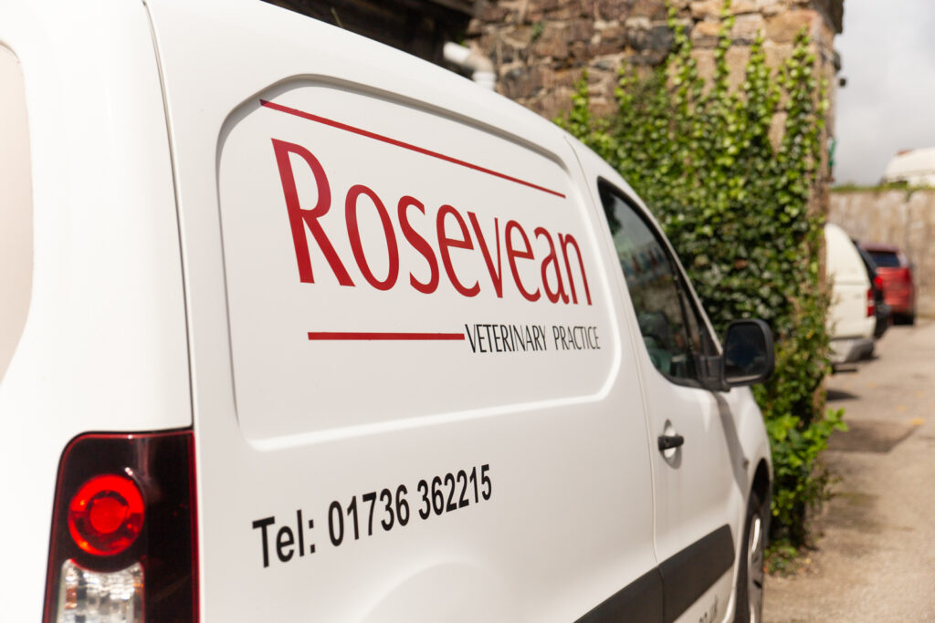 Rosevean (Web)-1066 A white van with Rosevean Veterinary Practice and a phone number printed on the side is parked near a stone wall with green ivy.
