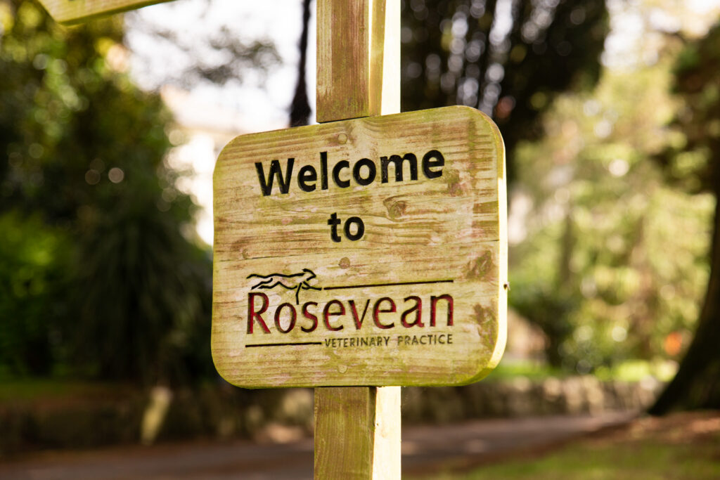 A wooden sign reads Welcome to Rosevean Veterinary Practice, with trees and greenery blurred in the background.