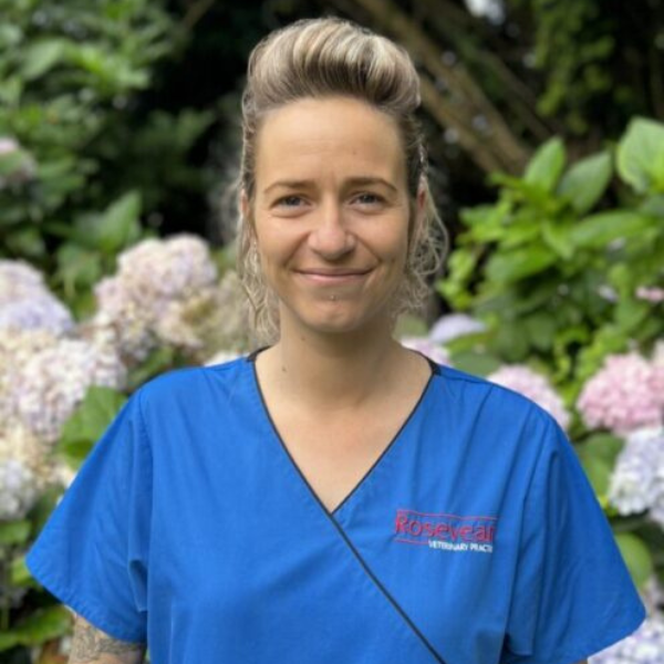 Meet the team: A woman in blue scrubs stands outdoors in front of flowering hydrangea bushes, smiling at the camera. The logo on her scrubs reads Rosevean Veterinary Practice.