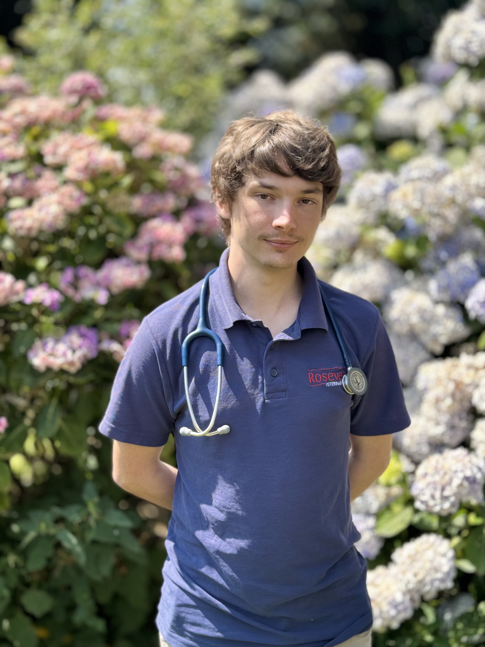 KM. Meet the team: A young man wearing a Rosewood polo shirt and a stethoscope stands outdoors in front of blooming hydrangea bushes, hands behind his back.